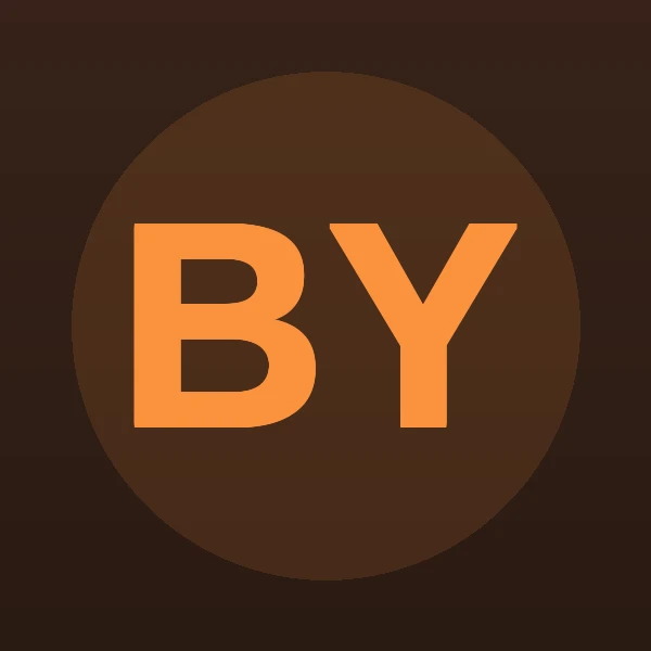 Bradley Bruce Young - Attorney