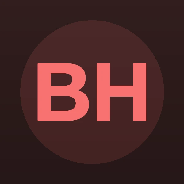 Brian P. Heald - Attorney