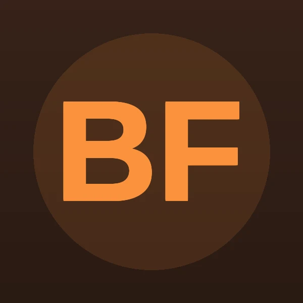 Brian Richard Fitzgerald - Attorney