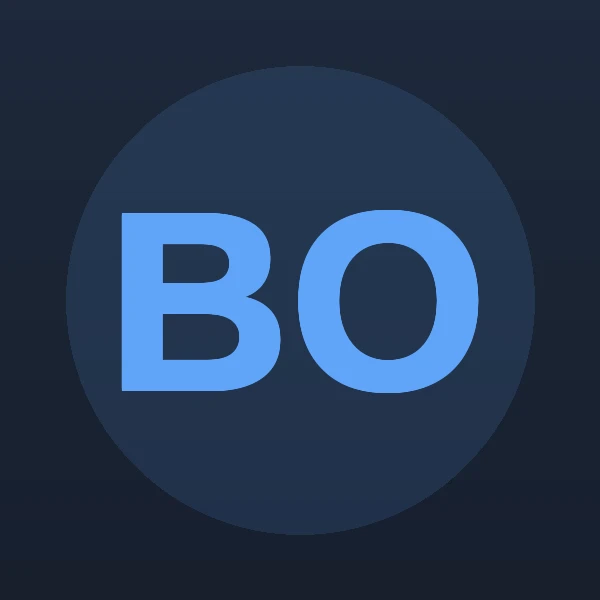 Bruce N Oldham - Attorney