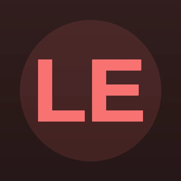 Lynette L. Erickson - Attorney