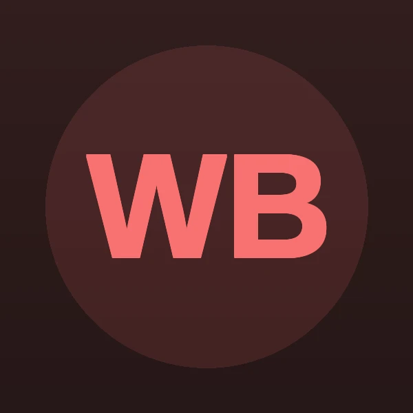 William Paul Bringman - Attorney